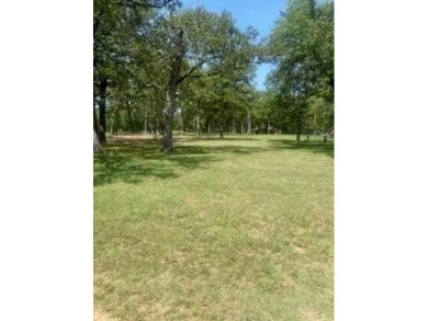 This is a beautiful area to build your dream home . On a on Pinnacle Golf and Boat Club in Texas - for sale on GolfHomes.com, golf home, golf lot