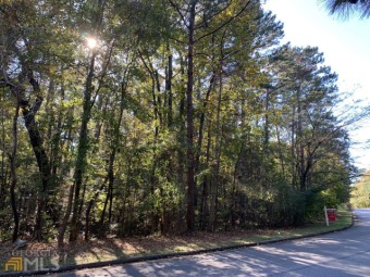 Beautiful lot in established neighborhood.  Lot backs up to a on Lake Spivey Golf Club in Georgia - for sale on GolfHomes.com, golf home, golf lot
