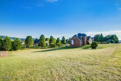 Best lot available in Warrior Falls Subdivision! Perfect lot to on Tennessee Golf Trail At Warriors Path in Tennessee - for sale on GolfHomes.com, golf home, golf lot