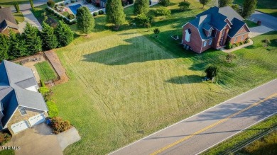 Best lot available in Warrior Falls Subdivision! Perfect lot to on Tennessee Golf Trail At Warriors Path in Tennessee - for sale on GolfHomes.com, golf home, golf lot