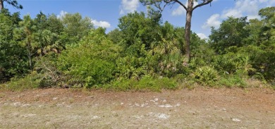 Oversized Lot Alert in X Flood Zone! This rare gem in the heart on Bobcat Trail Golf Club in Florida - for sale on GolfHomes.com, golf home, golf lot