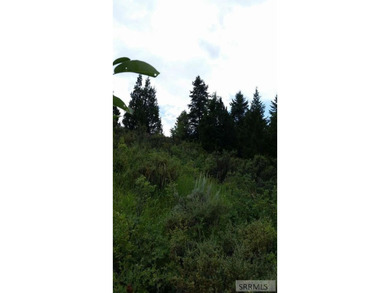 Discover your private Idaho retreat on this 23.1-acre property on  in ID - for sale on GolfHomes.com, golf home, golf lot