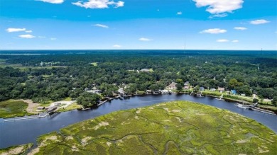 Picture yourself living on the fourth fairway of Sapelo Hammock on Sapelo Hammock Golf Club in Georgia - for sale on GolfHomes.com, golf home, golf lot