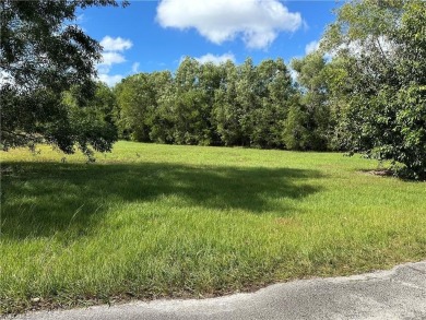 Discover the perfect canvas for your dream home on this spacious on Eagle Lakes Golf Club in Florida - for sale on GolfHomes.com, golf home, golf lot