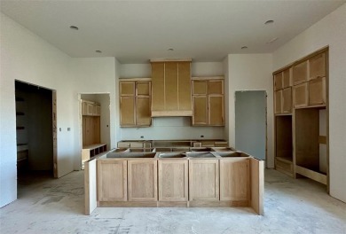 Beautiful new build in Thomas Crossing (Southern Oaks Golf on Southern Oaks Golf Club in Texas - for sale on GolfHomes.com, golf home, golf lot