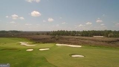 Welcome to Lot 504 on Holm Place, a prime homesite nestled in on The Club At Osprey Cove in Georgia - for sale on GolfHomes.com, golf home, golf lot