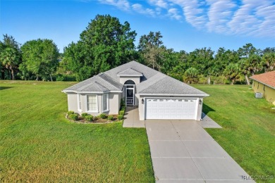 I've heard the kitchen is the heart of the home and there is on Point O Woods Golf Club in Florida - for sale on GolfHomes.com, golf home, golf lot