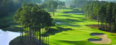 Welcome to this stunning new construction home in the on Wild Wing Plantation in South Carolina - for sale on GolfHomes.com, golf home, golf lot