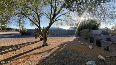 Cozy & Spacious Sun City Ranier Model.  A favorable Home on Sun City Lakes West and East in Arizona - for sale on GolfHomes.com, golf home, golf lot