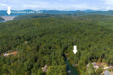Welcome to 112 Coral Beads Way-where your morning coffee comes on The Cliffs At Keowee Vineyards Golf Club in South Carolina - for sale on GolfHomes.com, golf home, golf lot
