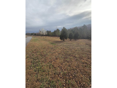 If you are looking for a place to build your new home, look no on Pine Hills Golf Course in Arkansas - for sale on GolfHomes.com, golf home, golf lot