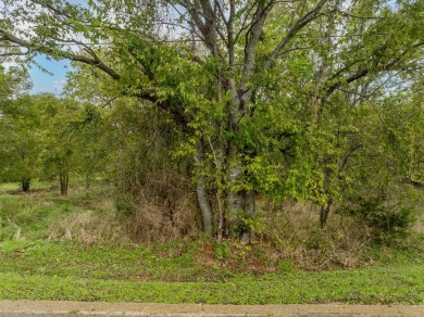 OWNER FINANCE AVAILABLE! Beautiful building lot right on the #17 on White Bluff Resort - New Course in Texas - for sale on GolfHomes.com, golf home, golf lot