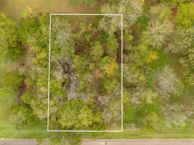 OWNER FINANCE AVAILABLE! Beautiful building lot right on the #17 on White Bluff Resort - New Course in Texas - for sale on GolfHomes.com, golf home, golf lot