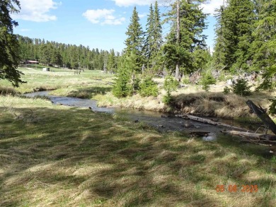 This Property is Listed by Todd Fierro / Great Peaks Realty on Lead Country Club in South Dakota - for sale on GolfHomes.com, golf home, golf lot