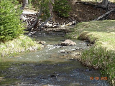 This Property is Listed by Todd Fierro / Great Peaks Realty on Lead Country Club in South Dakota - for sale on GolfHomes.com, golf home, golf lot