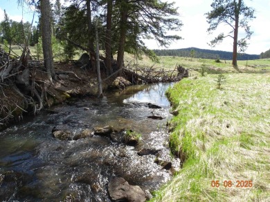 This Property is Listed by Todd Fierro / Great Peaks Realty on Lead Country Club in South Dakota - for sale on GolfHomes.com, golf home, golf lot