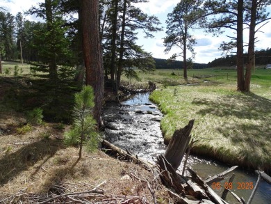 This Property is Listed by Todd Fierro / Great Peaks Realty on Lead Country Club in South Dakota - for sale on GolfHomes.com, golf home, golf lot