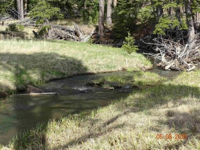 This Property is Listed by Todd Fierro / Great Peaks Realty on Lead Country Club in South Dakota - for sale on GolfHomes.com, golf home, golf lot