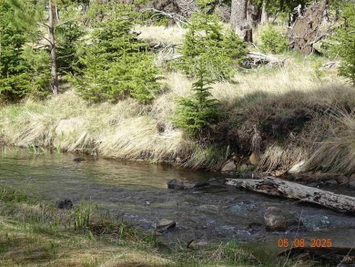 This Property is Listed by Todd Fierro / Great Peaks Realty on Lead Country Club in South Dakota - for sale on GolfHomes.com, golf home, golf lot