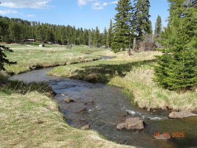 This Property is Listed by Todd Fierro / Great Peaks Realty on Lead Country Club in South Dakota - for sale on GolfHomes.com, golf home, golf lot