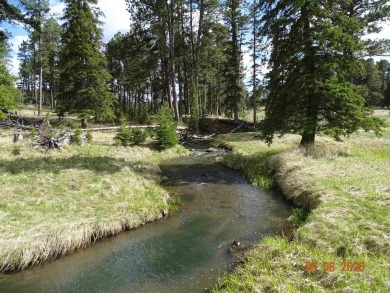 This Property is Listed by Todd Fierro / Great Peaks Realty on Lead Country Club in South Dakota - for sale on GolfHomes.com, golf home, golf lot