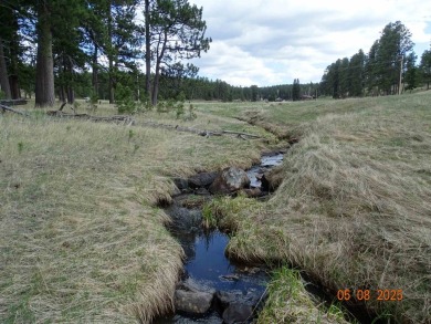 This Property is Listed by Todd Fierro / Great Peaks Realty on Lead Country Club in South Dakota - for sale on GolfHomes.com, golf home, golf lot