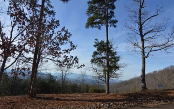NORTH CAROLINA LOT WITH BIG MOUNTAIN VIEWS!! Beautiful lot with on Mountain Harbour Golf Club in North Carolina - for sale on GolfHomes.com, golf home, golf lot