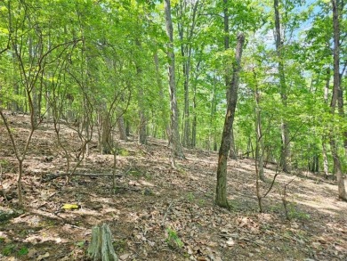 Nestled within the serene and exclusive Big Canoe community in on Big Canoe Golf Club - Cherokee in Georgia - for sale on GolfHomes.com, golf home, golf lot