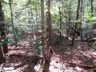 Nice building lot right on the 10th fairway at The Rock at on The Rock At Jocassee in South Carolina - for sale on GolfHomes.com, golf home, golf lot