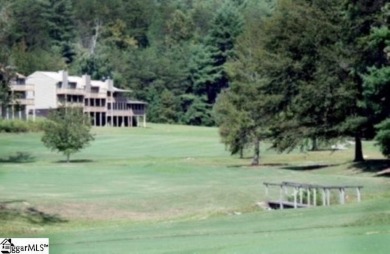 Nice building lot right on the 10th fairway at The Rock at on The Rock At Jocassee in South Carolina - for sale on GolfHomes.com, golf home, golf lot