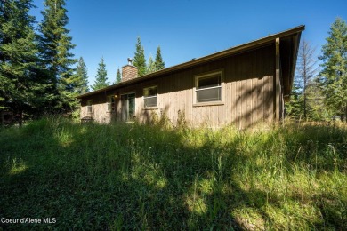 Your own private paradise! This 2012 custom-built Priest Lake on Priest Lake Golf and Tennis Club in Idaho - for sale on GolfHomes.com, golf home, golf lot