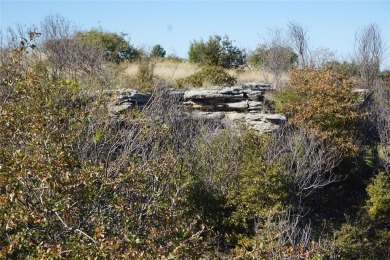 GORGEOUS VIEWS of Neeley's Slough and Fairway 13 from this on The Cliffs Resort in Texas - for sale on GolfHomes.com, golf home, golf lot