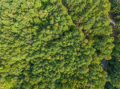 This homesite is an incredible opportunity to build your dream on The Reserve At Lake Keowee in South Carolina - for sale on GolfHomes.com, golf home, golf lot