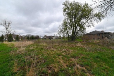 Don't miss your chance to own one of the last remaining lots in on Coachmans Golf Resort in Wisconsin - for sale on GolfHomes.com, golf home, golf lot
