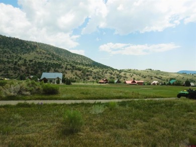 Bernadette Gingrass, Steffens and Company Realty, Inc, C: on Rio Grande Golf Club in Colorado - for sale on GolfHomes.com, golf home, golf lot
