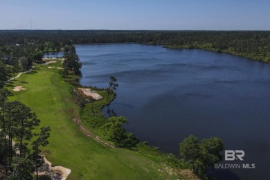WELCOME HOME! Water views? YES! Walk out level to #15? YES! This on Steelwood Country Club in Alabama - for sale on GolfHomes.com, golf home, golf lot