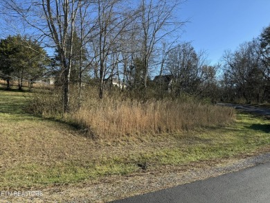 One of the last nice lots in the neighborhood, great location on Tellico Village -The Links At Kahite Golf Course in Tennessee - for sale on GolfHomes.com, golf home, golf lot