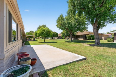Almost like living on the golf course with Lush Grass front & on Pebblebrook Golf Course in Arizona - for sale on GolfHomes.com, golf home, golf lot