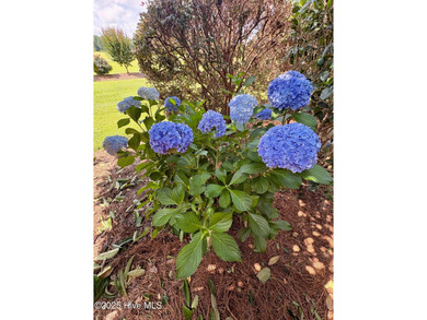 Discover this classic beauty with modern conveniences located in on Land-O-Lakes Golf Course in North Carolina - for sale on GolfHomes.com, golf home, golf lot