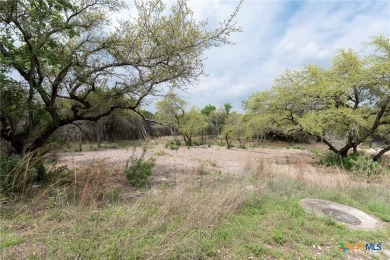 Rare Find in Lago Vista - Spacious .4092-Acre Lot! Discover the on Bar-K Golf Course in Texas - for sale on GolfHomes.com, golf home, golf lot