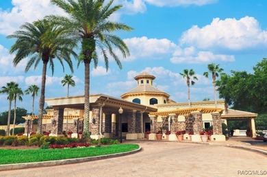 Motivated Seller! Seller will pay 1st year of social membership on Skyview At Terra Vista Golf and Country Club in Florida - for sale on GolfHomes.com, golf home, golf lot