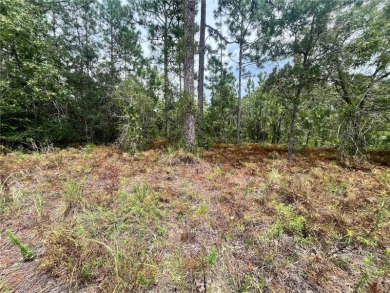 Come build your dream home in the gorgeous and highly desirable on Citrus Springs Country Club in Florida - for sale on GolfHomes.com, golf home, golf lot