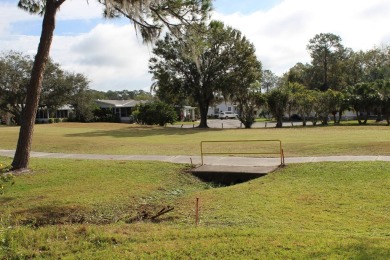 Introducing a fantastic 3 bedroom dream home on the golf course on Schalamar Creek Golf and Country Club in Florida - for sale on GolfHomes.com, golf home, golf lot