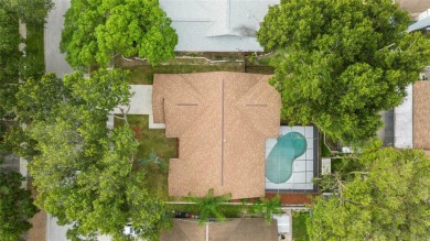 Completely redesigned and upgraded, this modern style POOL home on Buckhorn Springs Golf and Country Club in Florida - for sale on GolfHomes.com, golf home, golf lot