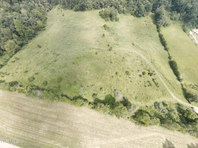 This private 15-acre parcel at the end of Oakwood Drive in on Tri Cities Golf Club in Tennessee - for sale on GolfHomes.com, golf home, golf lot