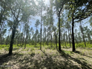 Welcome to your slice of paradise in Hidden Creek Estates.  This on Fallen Oak Golf Club in Mississippi - for sale on GolfHomes.com, golf home, golf lot