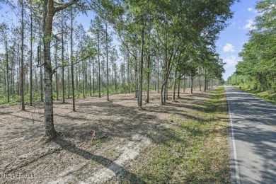 Welcome to your slice of paradise in Hidden Creek Estates.  This on Fallen Oak Golf Club in Mississippi - for sale on GolfHomes.com, golf home, golf lot