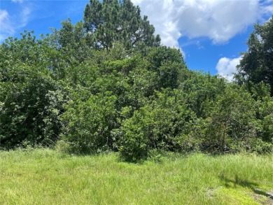 Wonderful lot in the highly desirable Rotonda Lakes Deed on Rotonda Golf and Country Club - Long Marsh  in Florida - for sale on GolfHomes.com, golf home, golf lot
