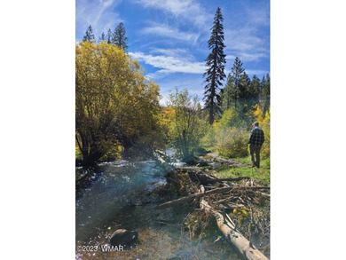 Unbelievable views of the 8th green from the gorgeous deck on White Mountain Country Club in Arizona - for sale on GolfHomes.com, golf home, golf lot