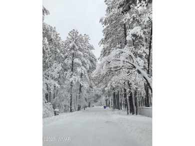Unbelievable views of the 8th green from the gorgeous deck on White Mountain Country Club in Arizona - for sale on GolfHomes.com, golf home, golf lot